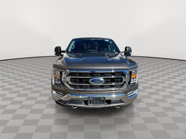 used 2021 Ford F-150 car, priced at $38,495