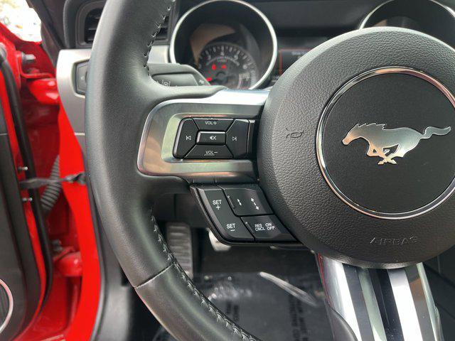 used 2022 Ford Mustang car