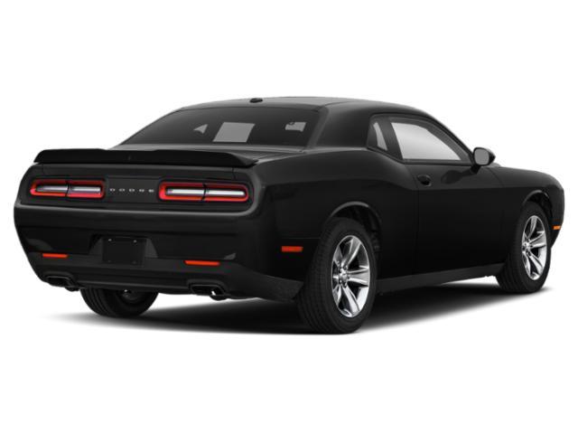 used 2019 Dodge Challenger car