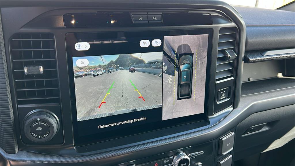 new 2025 Ford F-150 car, priced at $113,807