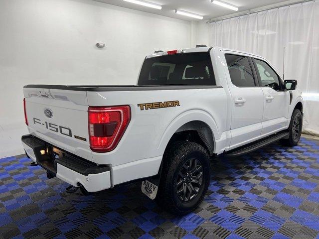 used 2023 Ford F-150 car