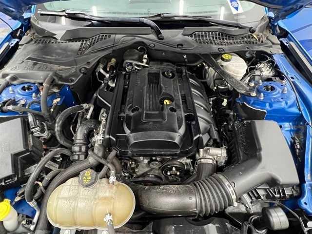 used 2019 Ford Mustang car, priced at $21,700