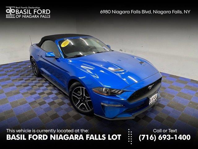 used 2019 Ford Mustang car, priced at $21,990