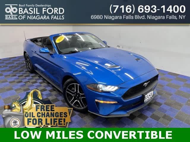 used 2019 Ford Mustang car, priced at $21,700