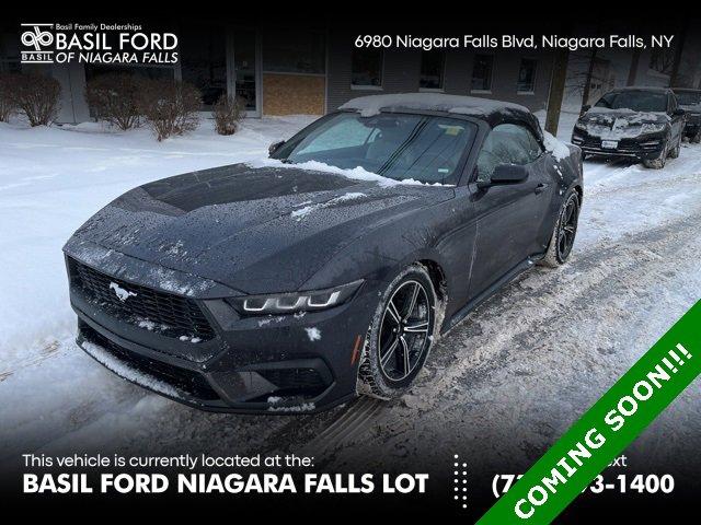 used 2024 Ford Mustang car, priced at $32,899