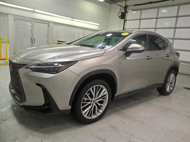used 2024 Lexus NX 350 car, priced at $48,900