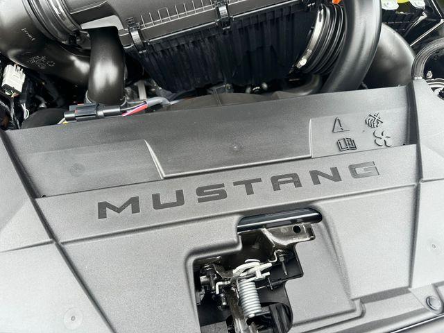 new 2025 Ford Mustang car, priced at $43,800