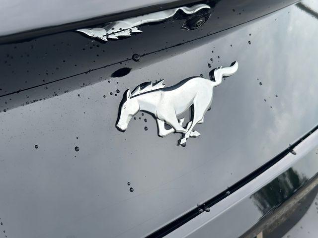 new 2025 Ford Mustang car, priced at $43,800