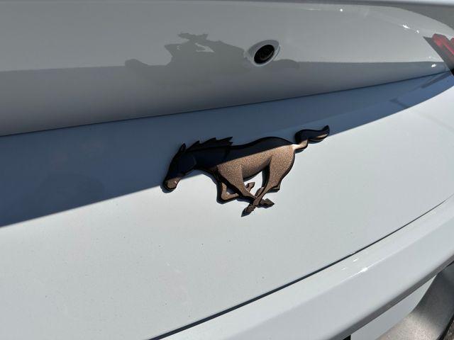new 2025 Ford Mustang car, priced at $49,440