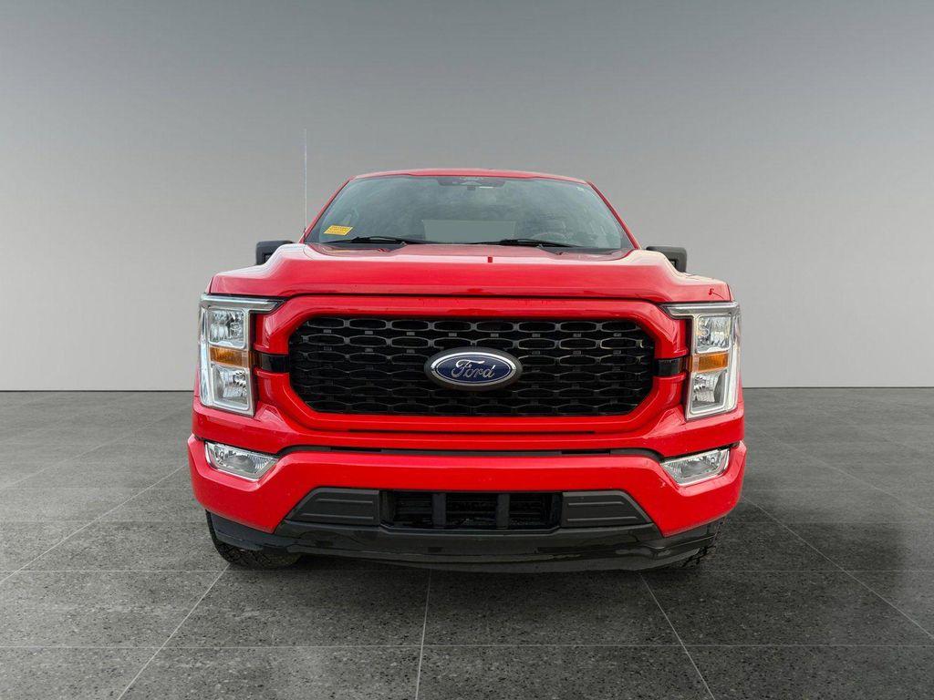 used 2021 Ford F-150 car, priced at $31,995