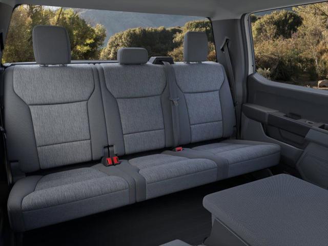 new 2025 Ford F-150 car, priced at $47,620