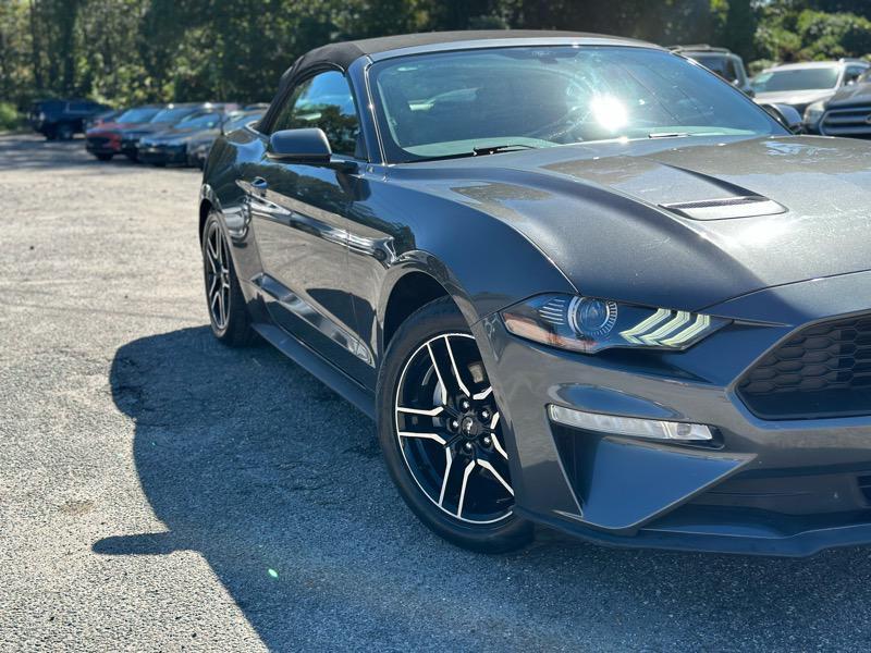 used 2019 Ford Mustang car, priced at $19,699