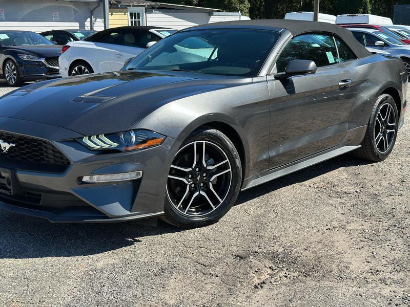used 2019 Ford Mustang car, priced at $19,699