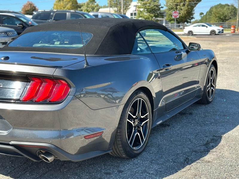 used 2019 Ford Mustang car, priced at $19,699
