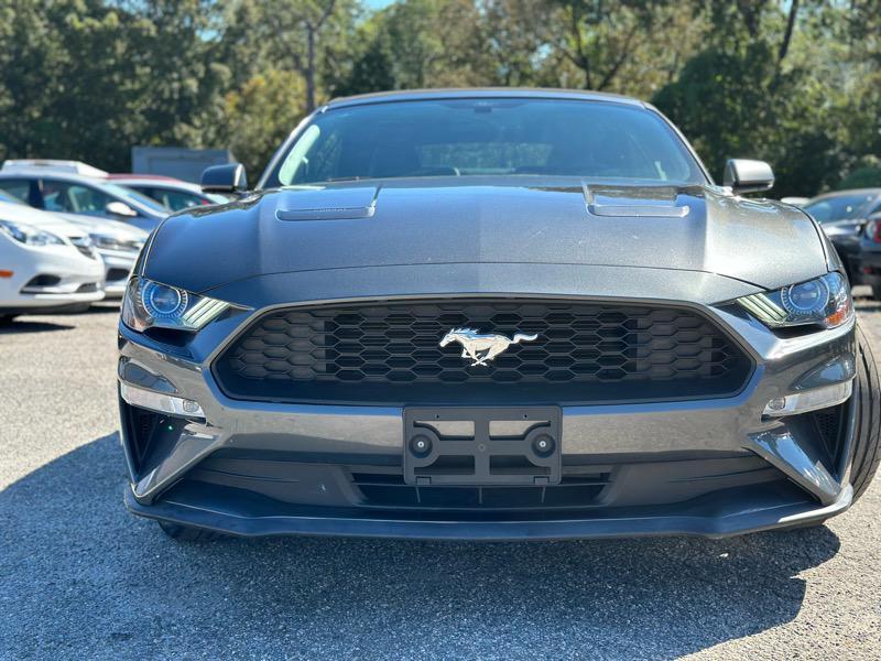 used 2019 Ford Mustang car, priced at $19,699