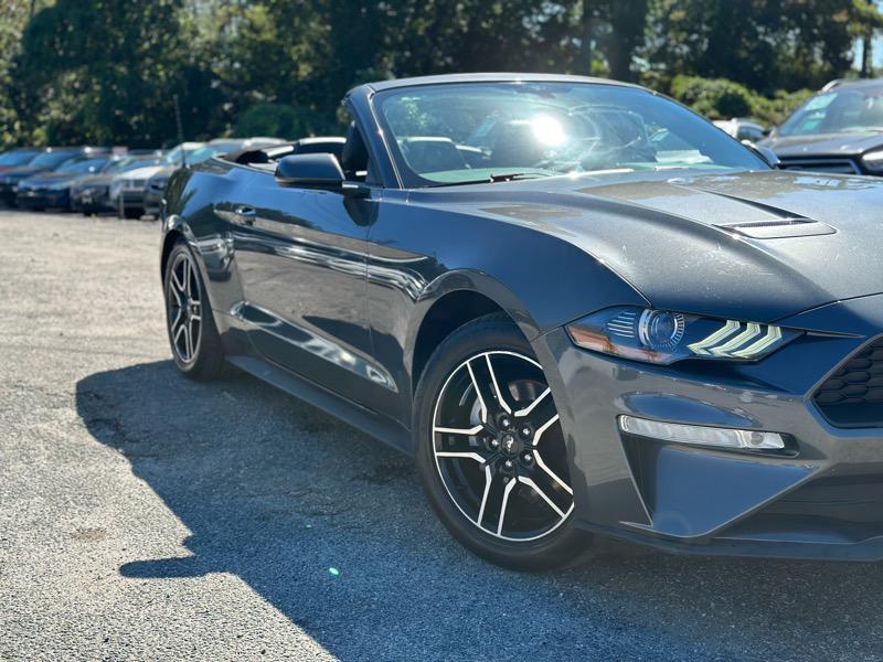 used 2019 Ford Mustang car, priced at $19,699