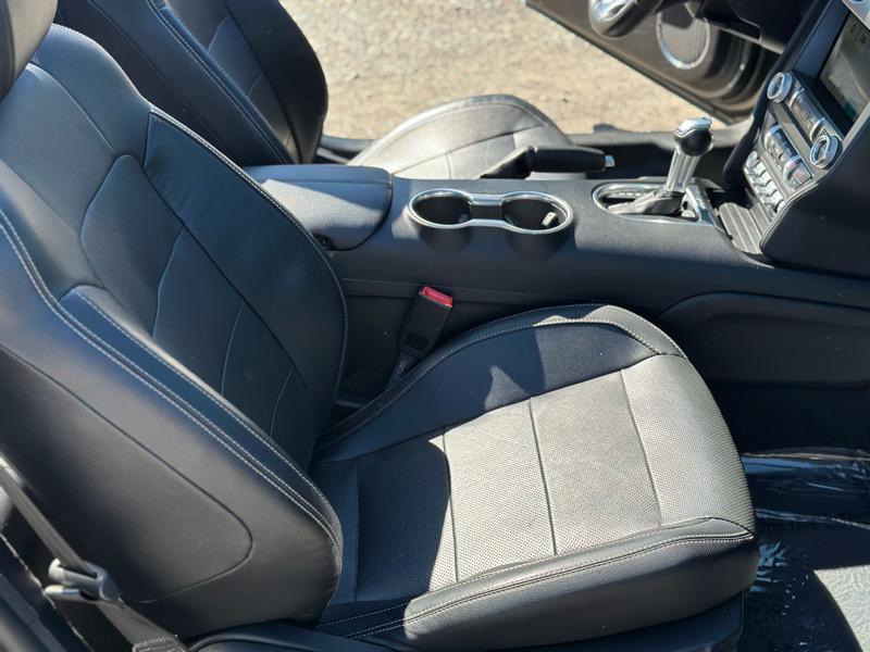 used 2019 Ford Mustang car, priced at $19,699