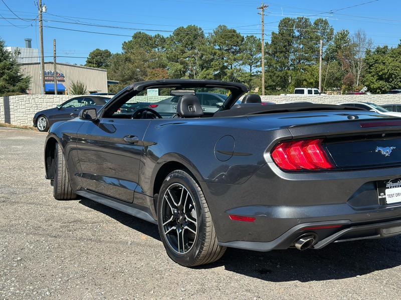 used 2019 Ford Mustang car, priced at $19,699