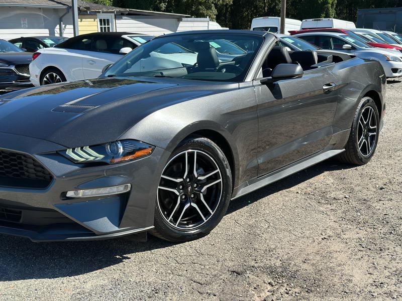 used 2019 Ford Mustang car, priced at $19,699