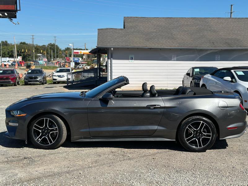 used 2019 Ford Mustang car, priced at $19,699