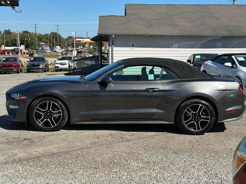 used 2019 Ford Mustang car, priced at $19,699