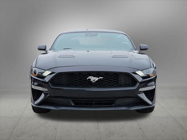 used 2023 Ford Mustang car, priced at $25,000