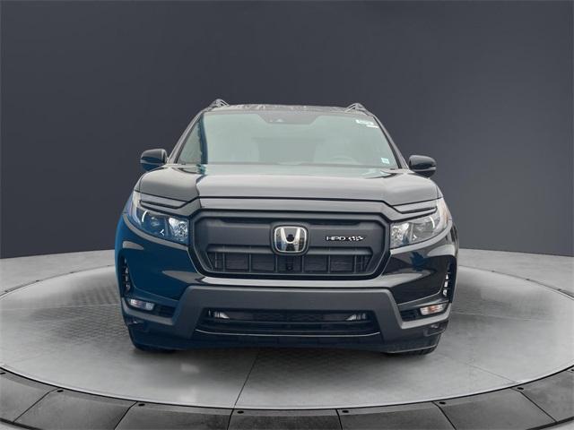 new 2025 Honda Passport car, priced at $48,759