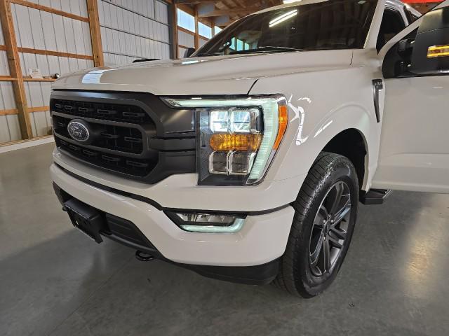 used 2023 Ford F-150 car, priced at $48,980