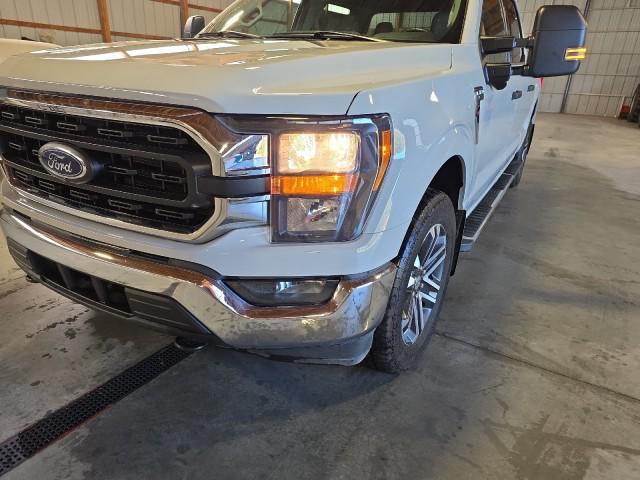 used 2023 Ford F-150 car, priced at $41,980