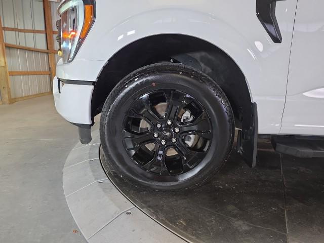 used 2023 Ford F-150 car, priced at $47,580
