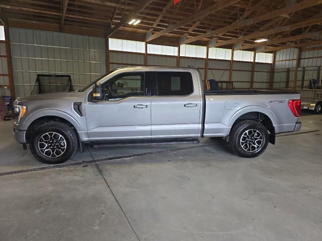 used 2023 Ford F-150 car, priced at $47,580