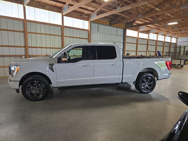 used 2023 Ford F-150 car, priced at $48,980