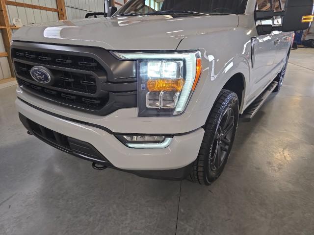 used 2023 Ford F-150 car, priced at $48,980