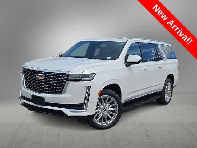 used 2023 Cadillac Escalade ESV car, priced at $80,000