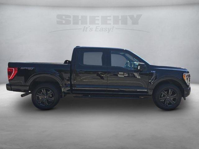 used 2021 Ford F-150 car, priced at $30,995