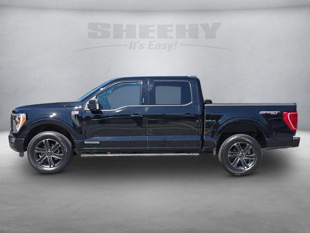 used 2021 Ford F-150 car, priced at $30,995