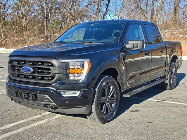 used 2023 Ford F-150 car, priced at $42,000