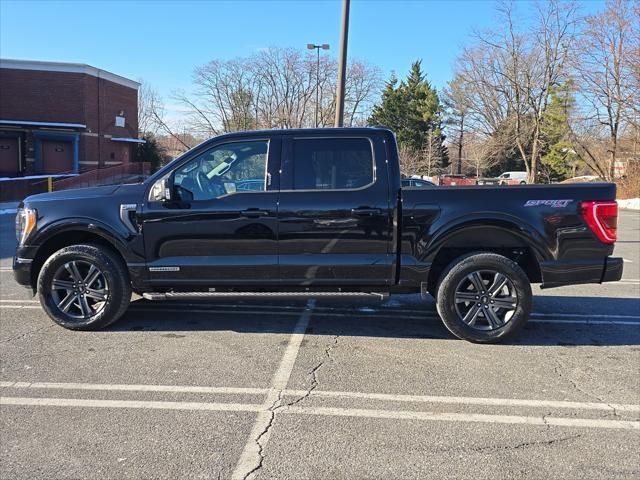 used 2023 Ford F-150 car, priced at $42,000