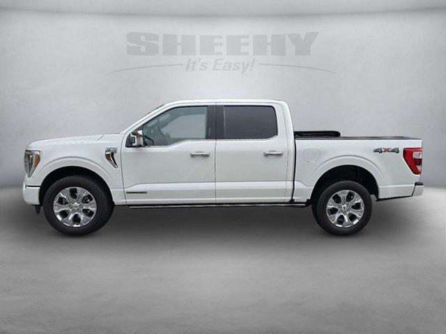 used 2021 Ford F-150 car, priced at $48,775
