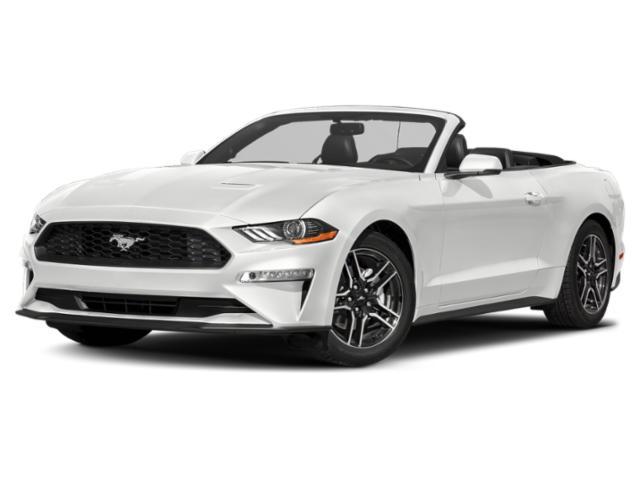 used 2019 Ford Mustang car