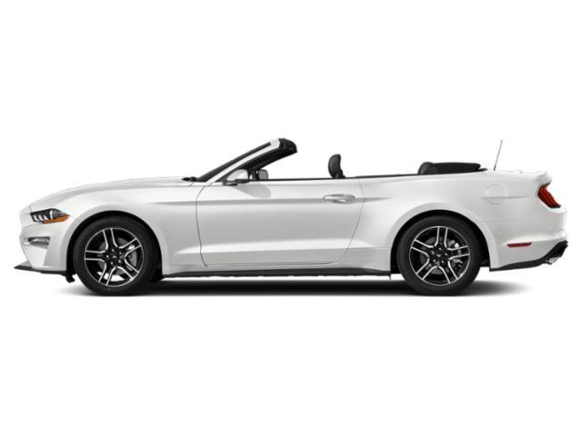 used 2019 Ford Mustang car