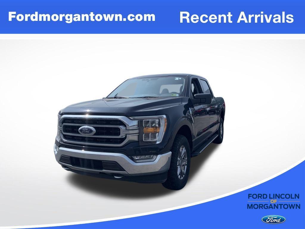 used 2021 Ford F-150 car