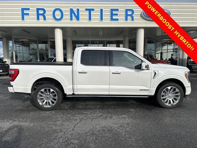 used 2023 Ford F-150 car, priced at $67,377