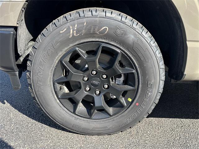 new 2025 Ford F-150 car, priced at $48,100