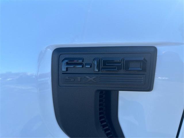 new 2025 Ford F-150 car, priced at $53,880