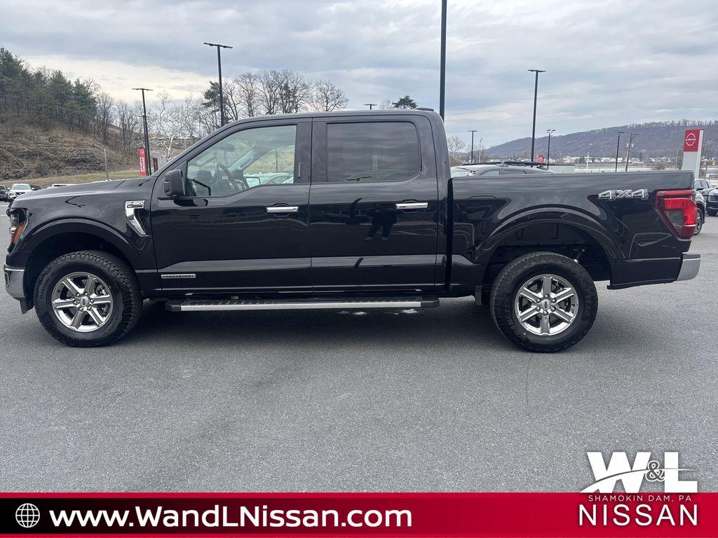 used 2024 Ford F-150 car