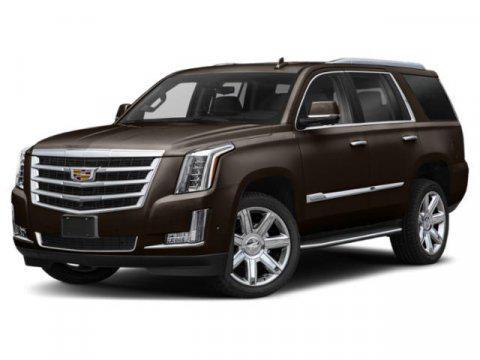 used 2020 Cadillac Escalade car