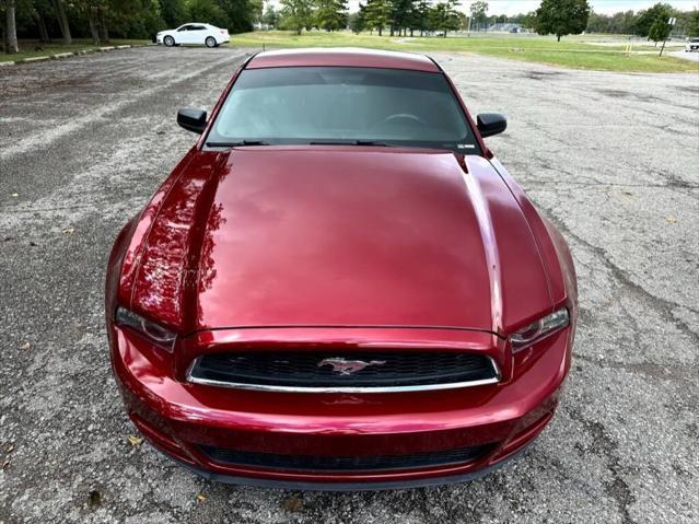 used 2014 Ford Mustang car, priced at $13,900