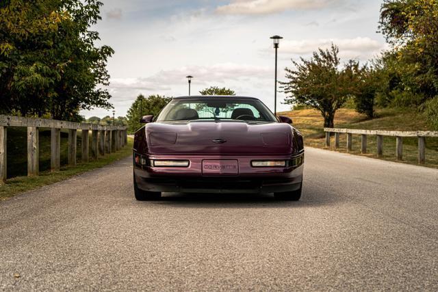 used 1995 Chevrolet Corvette car