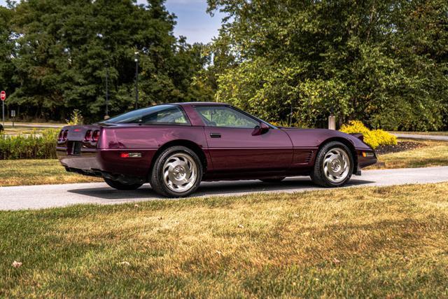 used 1995 Chevrolet Corvette car